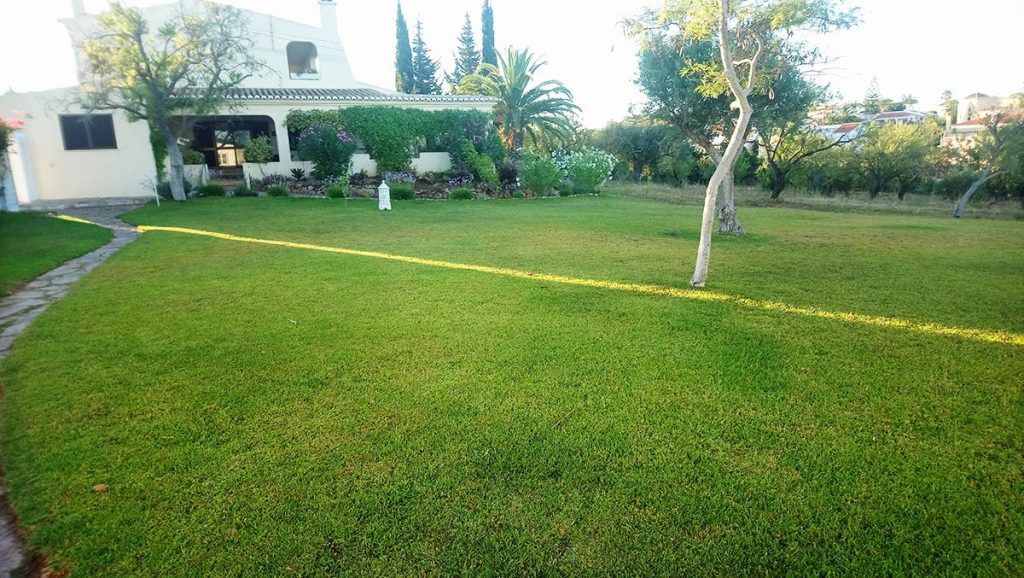 Lawn in Front of Studio Casa Solandra